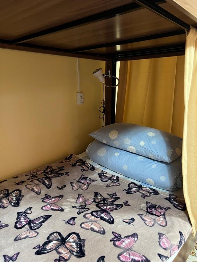 Hostel My House 卡拉科尔 外观 照片